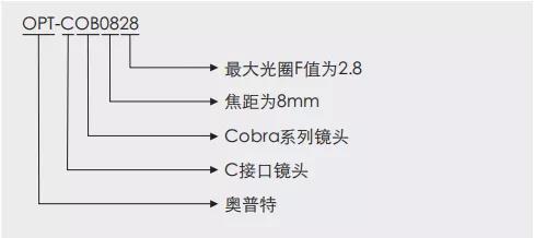 拉斯维加斯游戏(中国游)官方网站